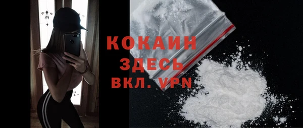шишки Киреевск