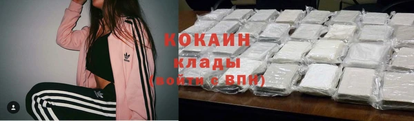 шишки Киреевск