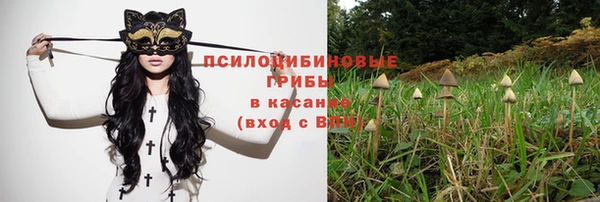 шишки Киреевск