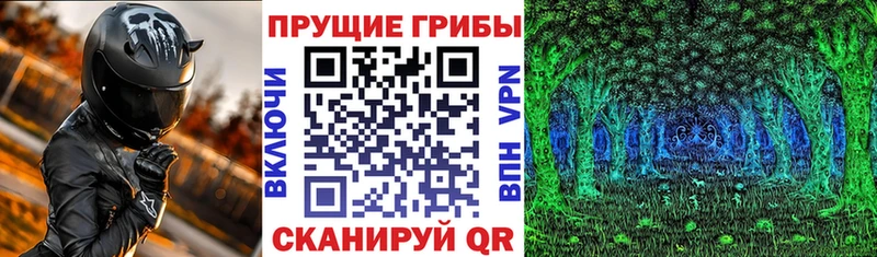 Купить  Белоусово  Галлюциногенные грибы MAGIC MUSHROOMS 